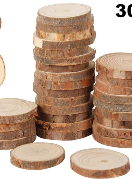 rondbois 2 rondbois 2