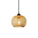 suspension-rotin1